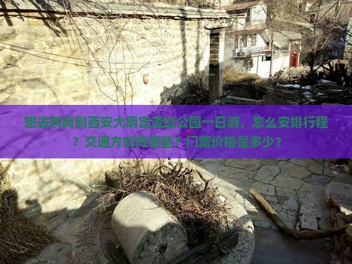想去鹤岗到西安大明宫遗址公园一日游，怎么安排行程？交通方式有哪些？门票价格是多少？