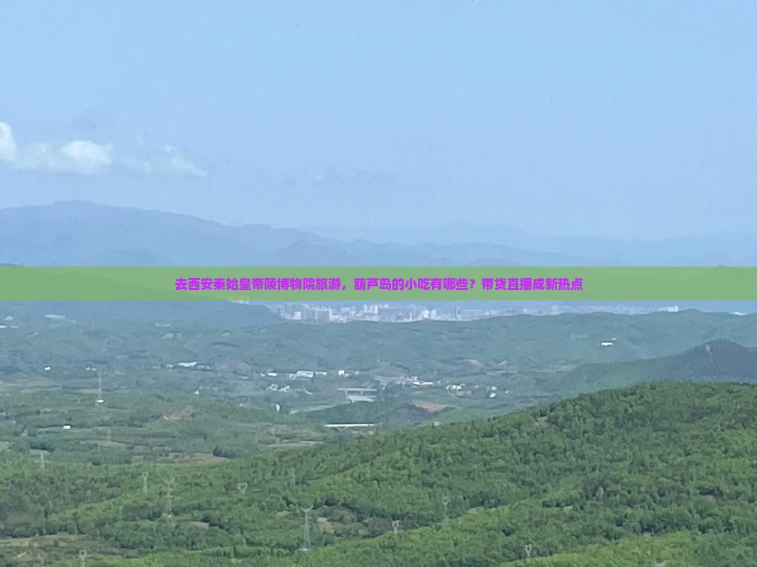 去西安秦始皇帝陵博物院旅游，葫芦岛的小吃有哪些？带货直播成新热点