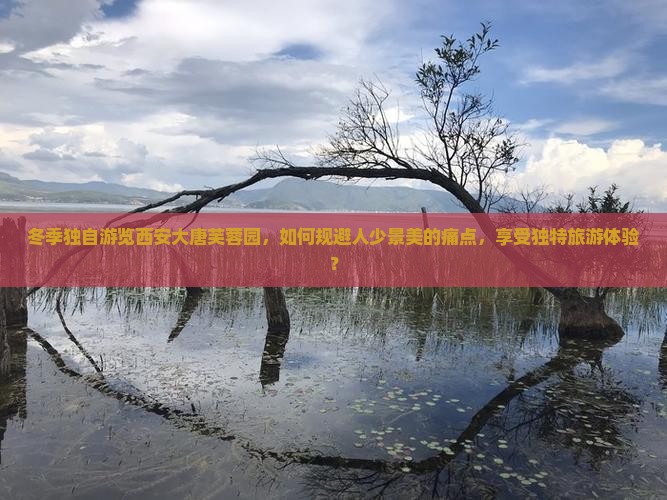 冬季独自游览西安大唐芙蓉园，如何规避人少景美的痛点，享受独特旅游体验？