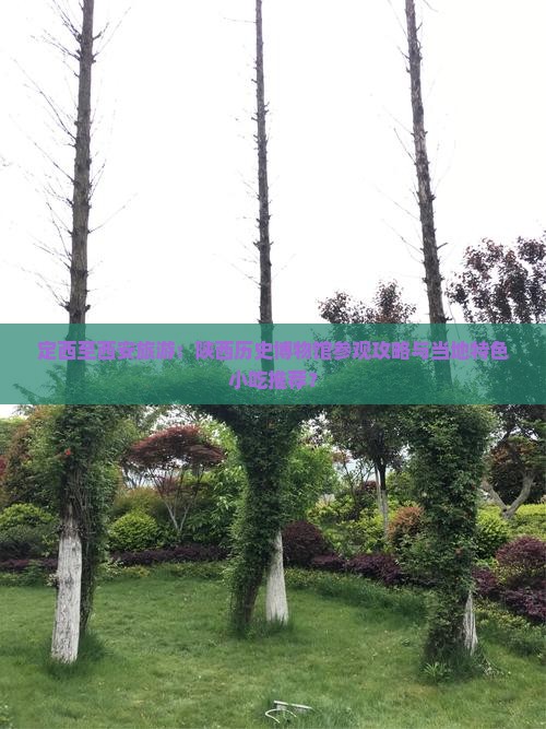 定西至西安旅游：陕西历史博物馆参观攻略与当地特色小吃推荐？