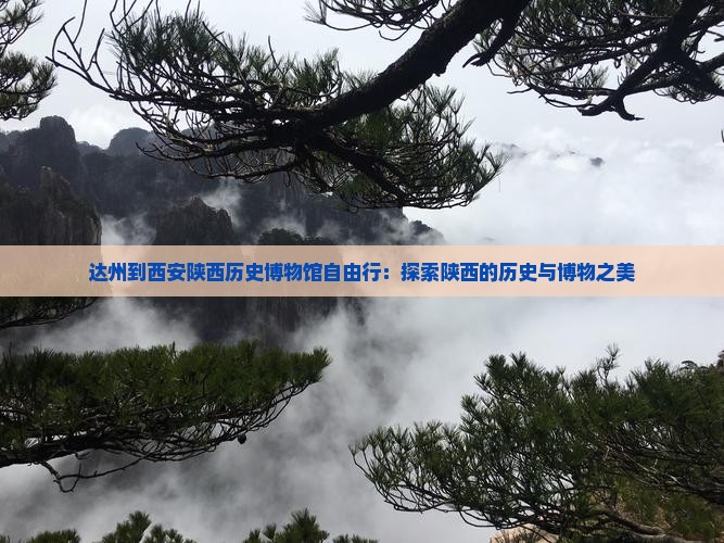 达州到西安陕西历史博物馆自由行：探索陕西的历史与博物之美