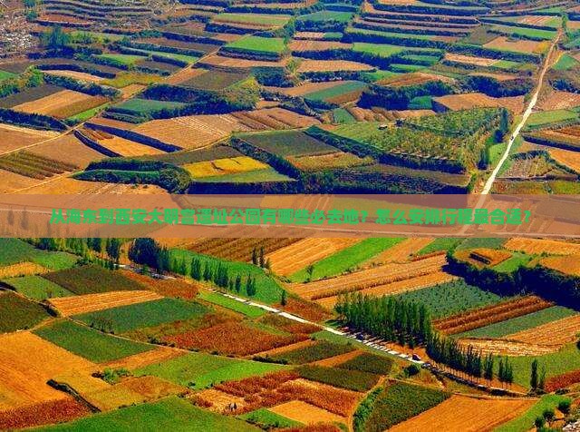 从海东到西安大明宫遗址公园有哪些必去地？怎么安排行程最合适？