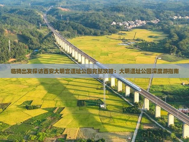 临猗出发探访西安大明宫遗址公园完整攻略：大明遗址公园深度游指南