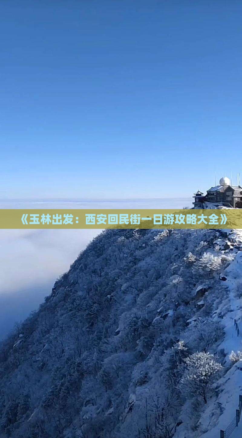 《玉林出发：西安回民街一日游攻略大全》