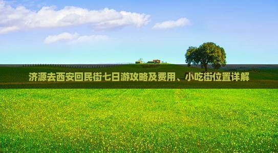 济源去西安回民街七日游攻略及费用、小吃街位置详解