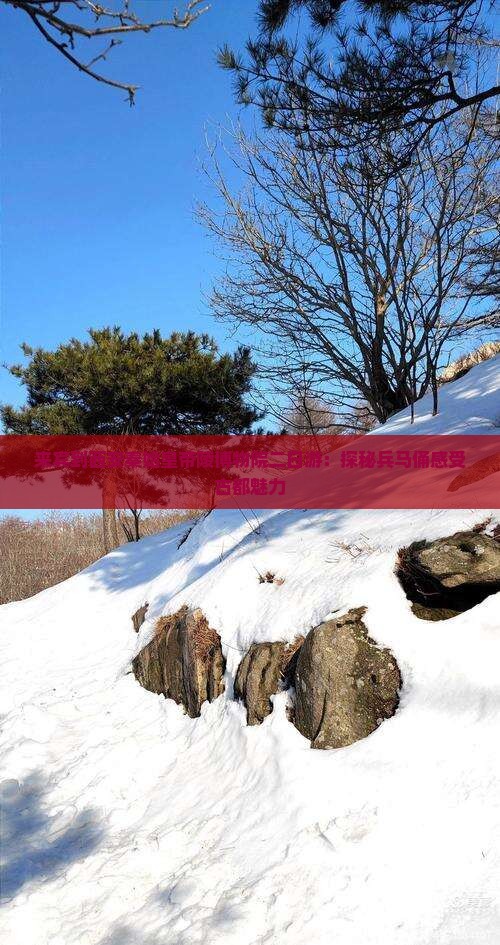 来宾到西安秦始皇帝陵博物院二日游：探秘兵马俑感受古都魅力