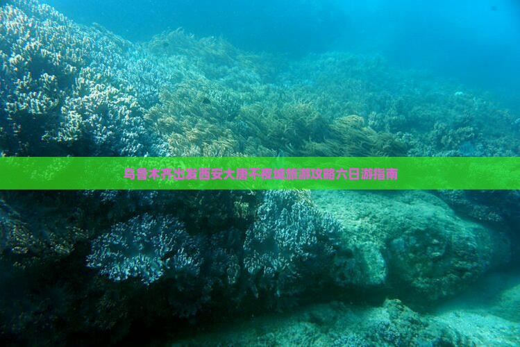 乌鲁木齐出发西安大唐不夜城旅游攻略六日游指南