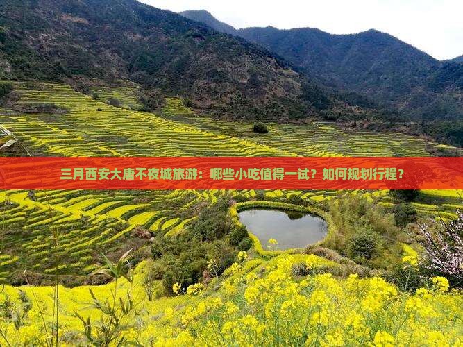 三月西安大唐不夜城旅游：哪些小吃值得一试？如何规划行程？