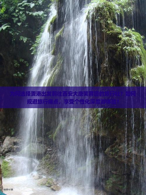 为何选择贵港出发前往西安大唐芙蓉园的旅行社？如何规避旅行痛点，享受个性化深度游体验？