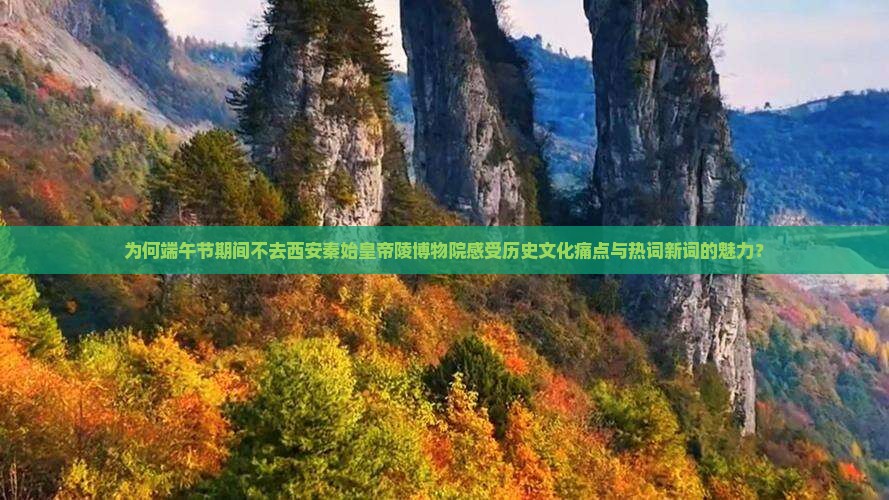 为何端午节期间不去西安秦始皇帝陵博物院感受历史文化痛点与热词新词的魅力？