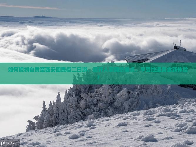 如何规划自贡至西安回民街二日游，避开人潮拥挤痛点，享受地道美食新体验？