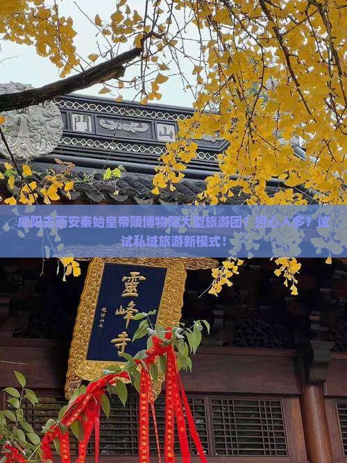 咸阳去西安秦始皇帝陵博物院大型旅游团？担心人多？试试私域旅游新模式！