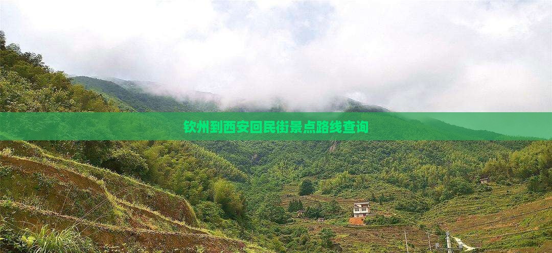 钦州到西安回民街景点路线查询