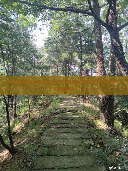 春节如何加入西安城墙大型旅游团？有哪些特色活动与游览亮点？