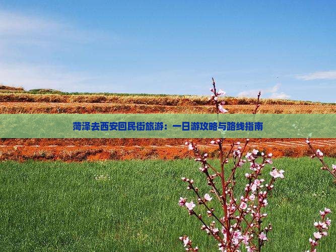 菏泽去西安回民街旅游：一日游攻略与路线指南