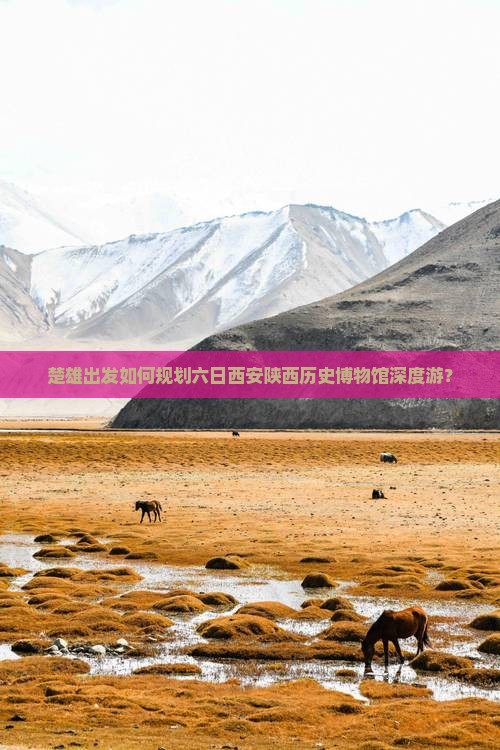 楚雄出发如何规划六日西安陕西历史博物馆深度游？
