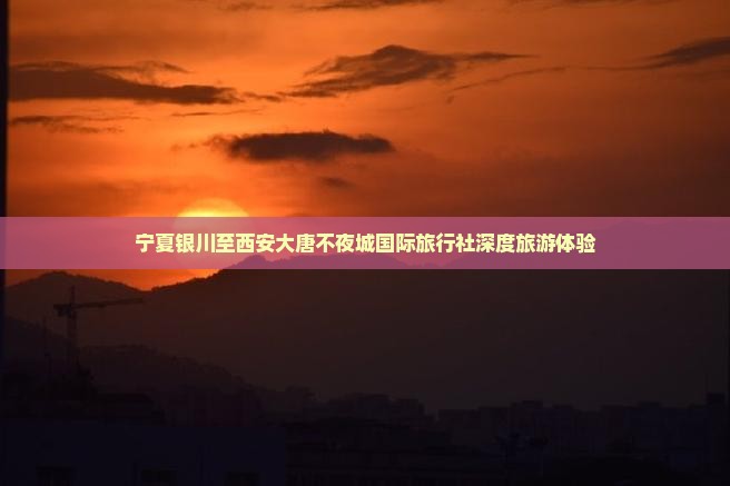 宁夏银川至西安大唐不夜城国际旅行社深度旅游体验