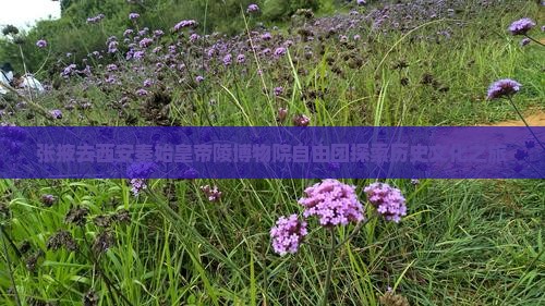 张掖去西安秦始皇帝陵博物院自由团探索历史文化之旅