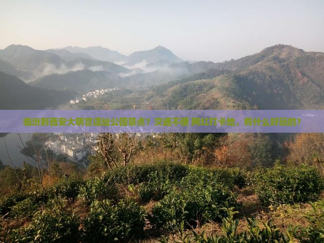 临汾到西安大明宫遗址公园景点？交通不便+网红打卡地，有什么好玩的？