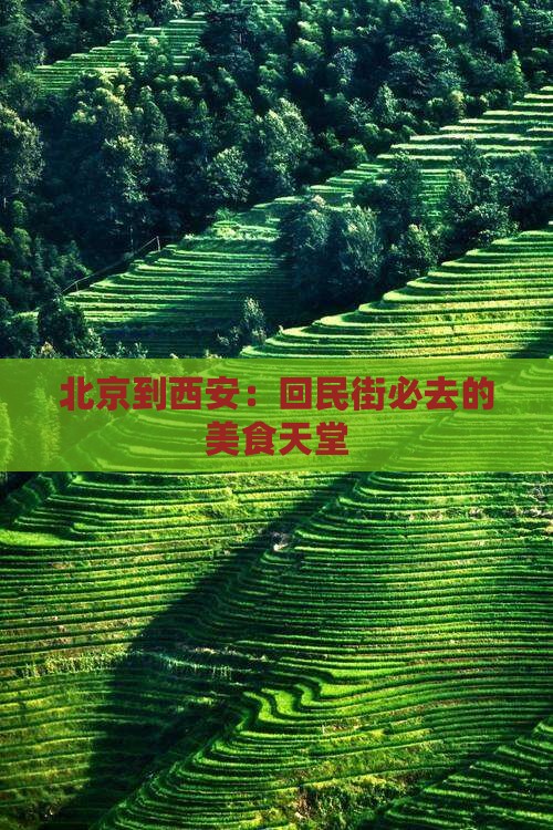 北京到西安：回民街必去的美食天堂