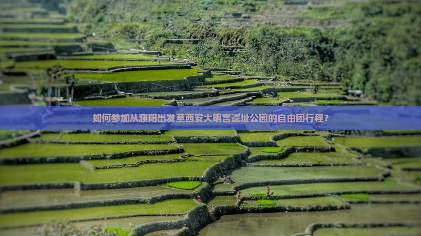 如何参加从濮阳出发至西安大明宫遗址公园的自由团行程？