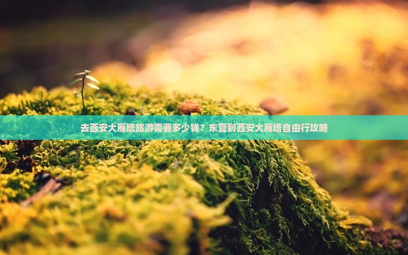 去西安大雁塔旅游需要多少钱？东营到西安大雁塔自由行攻略
