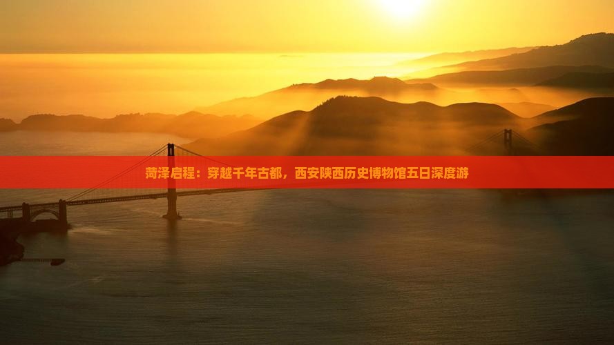 菏泽启程：穿越千年古都，西安陕西历史博物馆五日深度游
