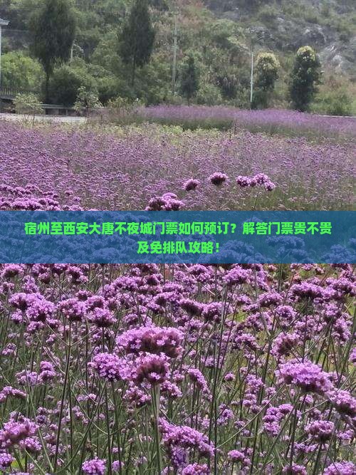宿州至西安大唐不夜城门票如何预订？解答门票贵不贵及免排队攻略！