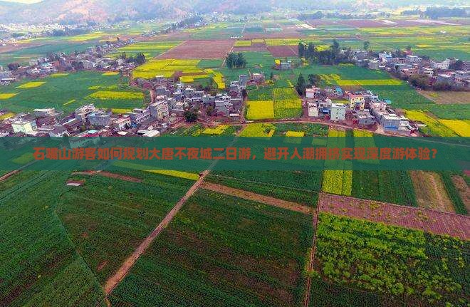 石嘴山游客如何规划大唐不夜城二日游,避开人潮拥挤实现深度游体验? 石嘴山游客如何规划大唐不夜城二日游,避开人潮拥挤实现深度游体验?
