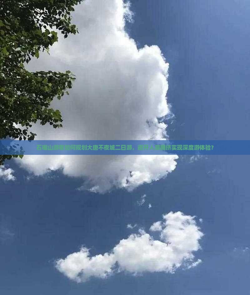 石嘴山游客如何规划大唐不夜城二日游,避开人潮拥挤实现深度游体验? 石嘴山游客如何规划大唐不夜城二日游,避开人潮拥挤实现深度游体验?
