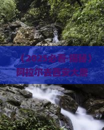 阿拉尔去西安大唐不夜城三日游