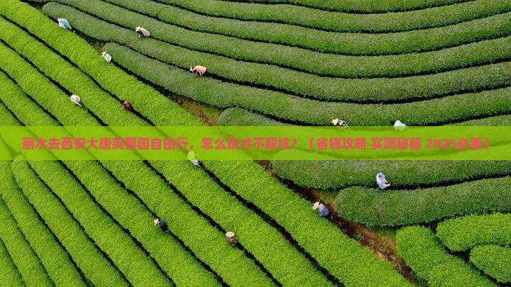 丽水去西安大唐芙蓉园自由行