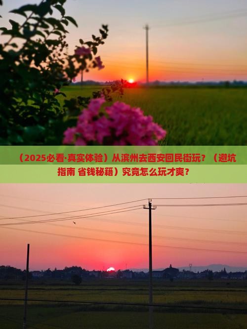 滨州去西安回民街哪里玩