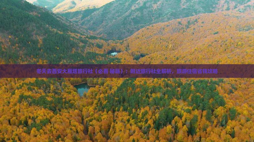 冬天去西安大雁塔旅行社