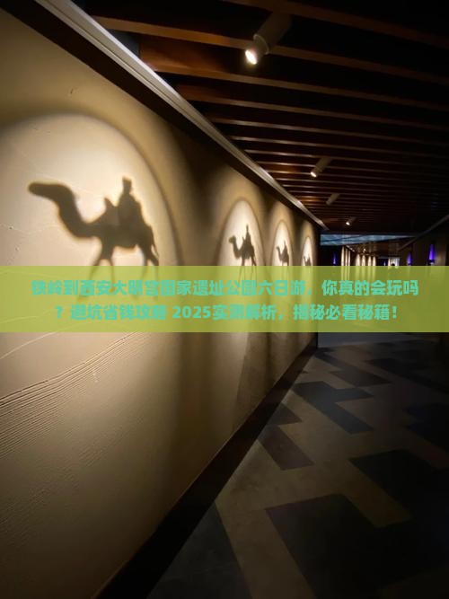 铁岭到西安大明宫国家遗址公园六日游
