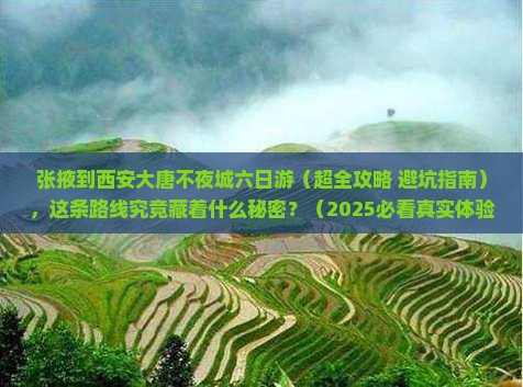 张掖到西安大唐不夜城六日游