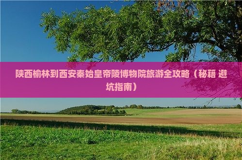榆林到西安秦始皇帝陵博物院旅行社
