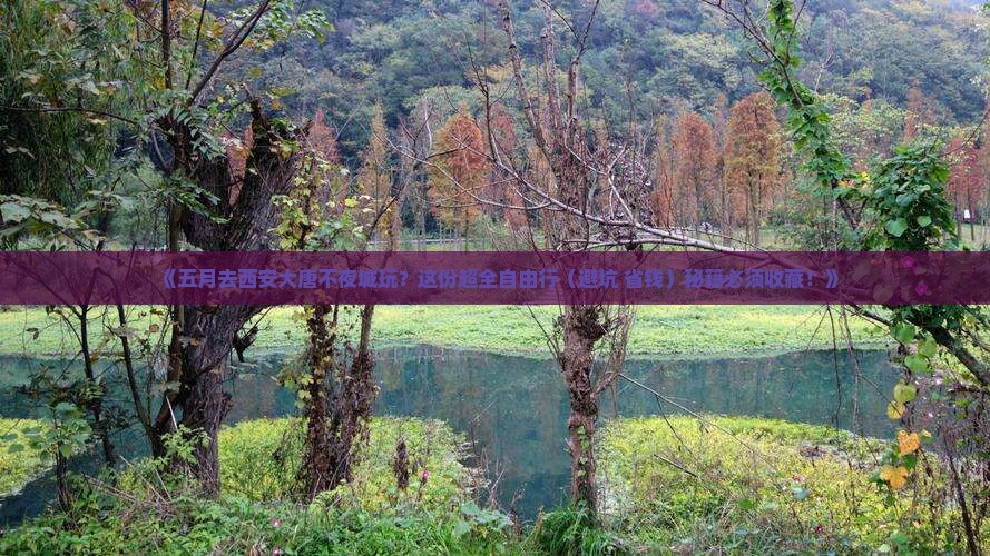 五月到西安大唐不夜城自由团