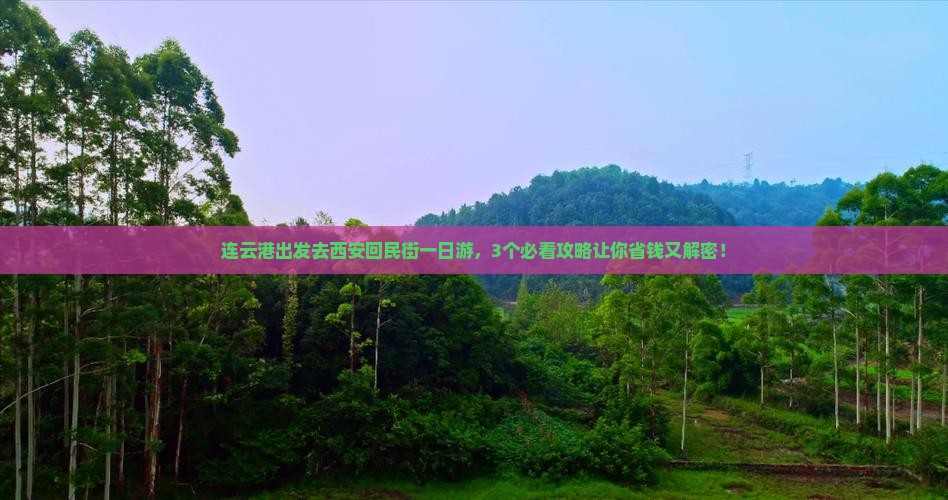 连云港去西安回民街一日游
