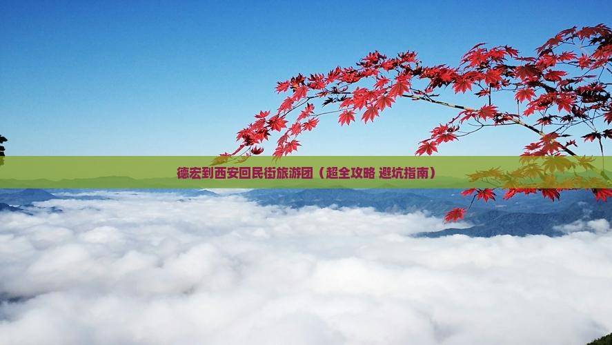 德宏去西安回民街大型旅游团