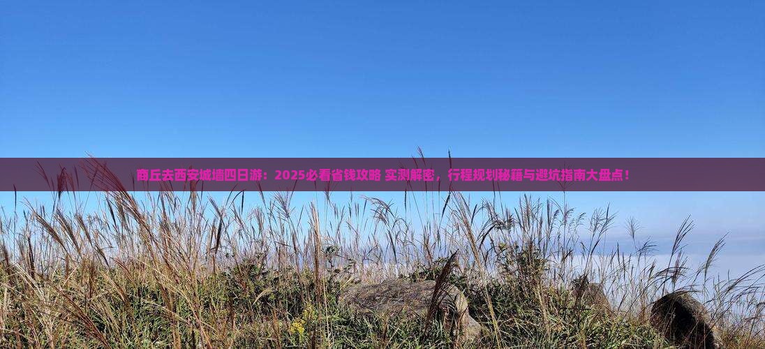 商丘去西安城墙四日游