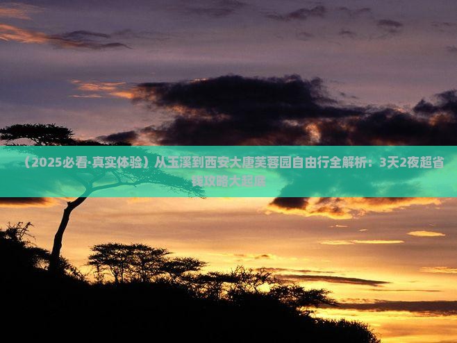玉溪到西安大唐芙蓉园自由行
