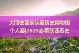 大同去西安陕西历史博物馆个人游