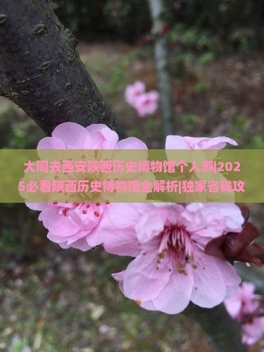 大同去西安陕西历史博物馆个人游
