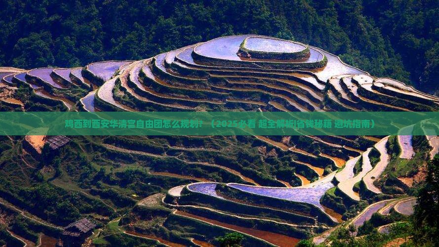 鸡西到西安华清宫自由团