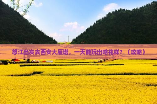 怒江去西安大雁塔一日游