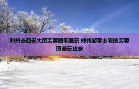 郑州去西安大唐芙蓉园哪里玩