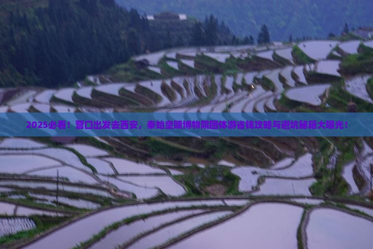 营口到西安秦始皇帝陵博物院团体旅游