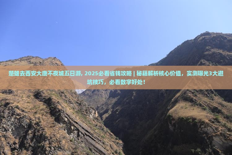 楚雄去西安大唐不夜城五日游
