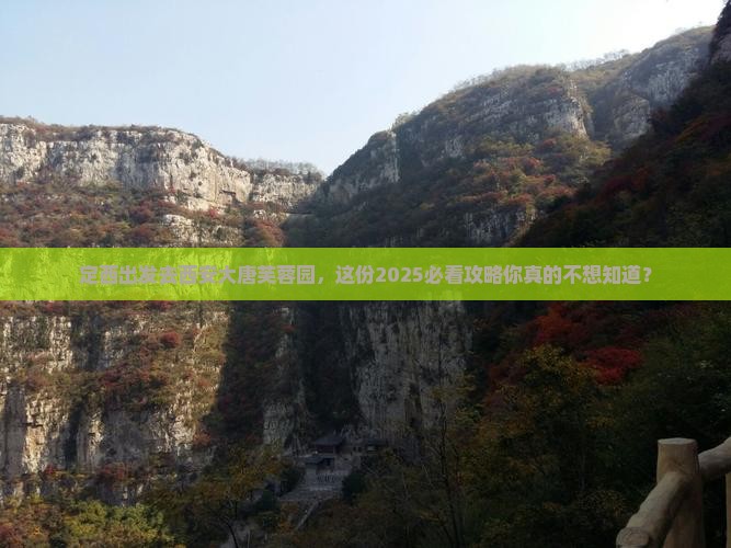 定西去西安大唐芙蓉园团体旅游